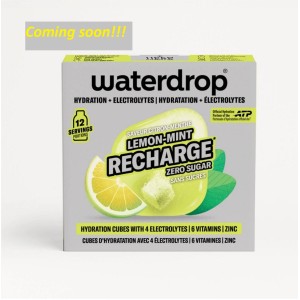 Waterdrop Electrolyte Lemon-Mint Recharge Cubes