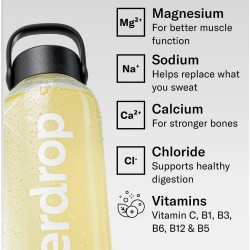 Waterdrop Electrolyte Lemon-Mint Recharge Cubes